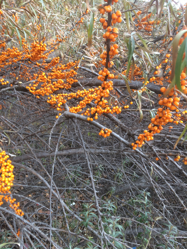 B90923E8-E779-410E-84B2-B26700A7E63A