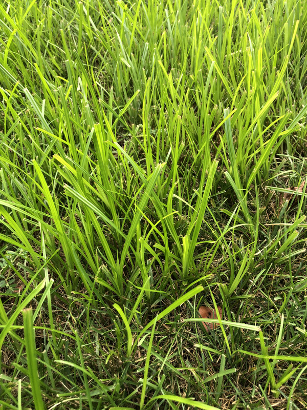 2B77C031-7BB7-46B2-92B3-21259F74FE4A