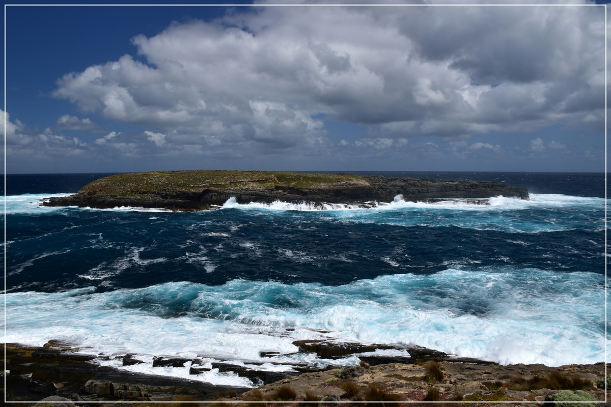 Australia (I): toma de contacto - Blogs de Australia - Kangaroo Island (39)