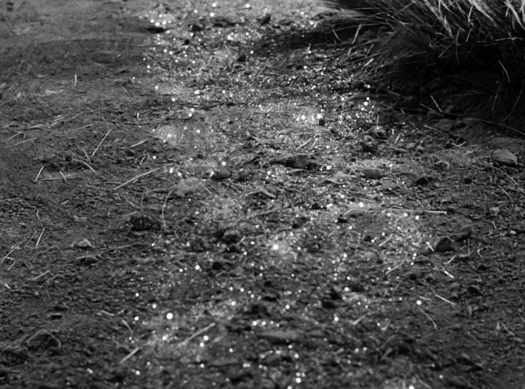 IT CAME REFERENCE (6)