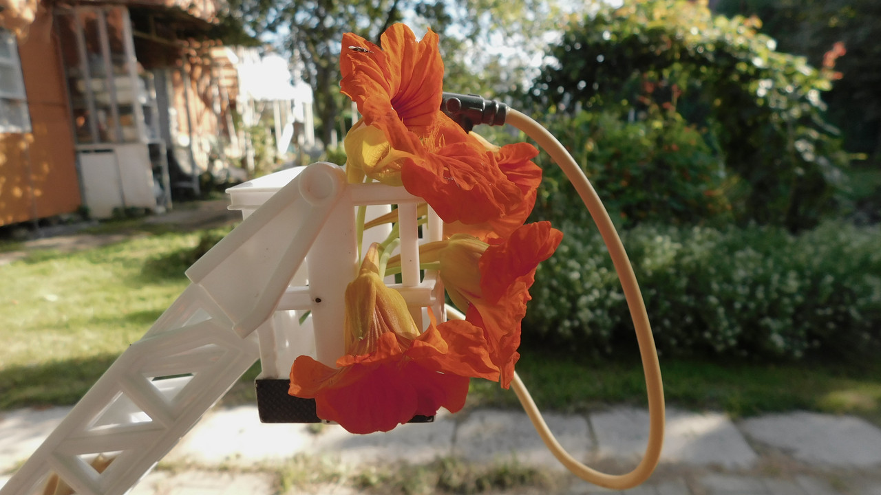 Август дачный кукольный 2023 423