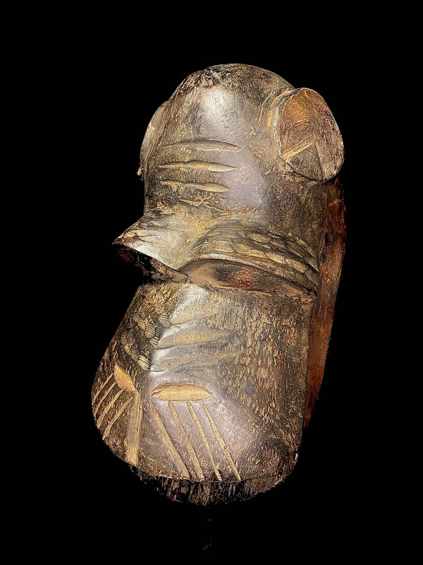 large image 7