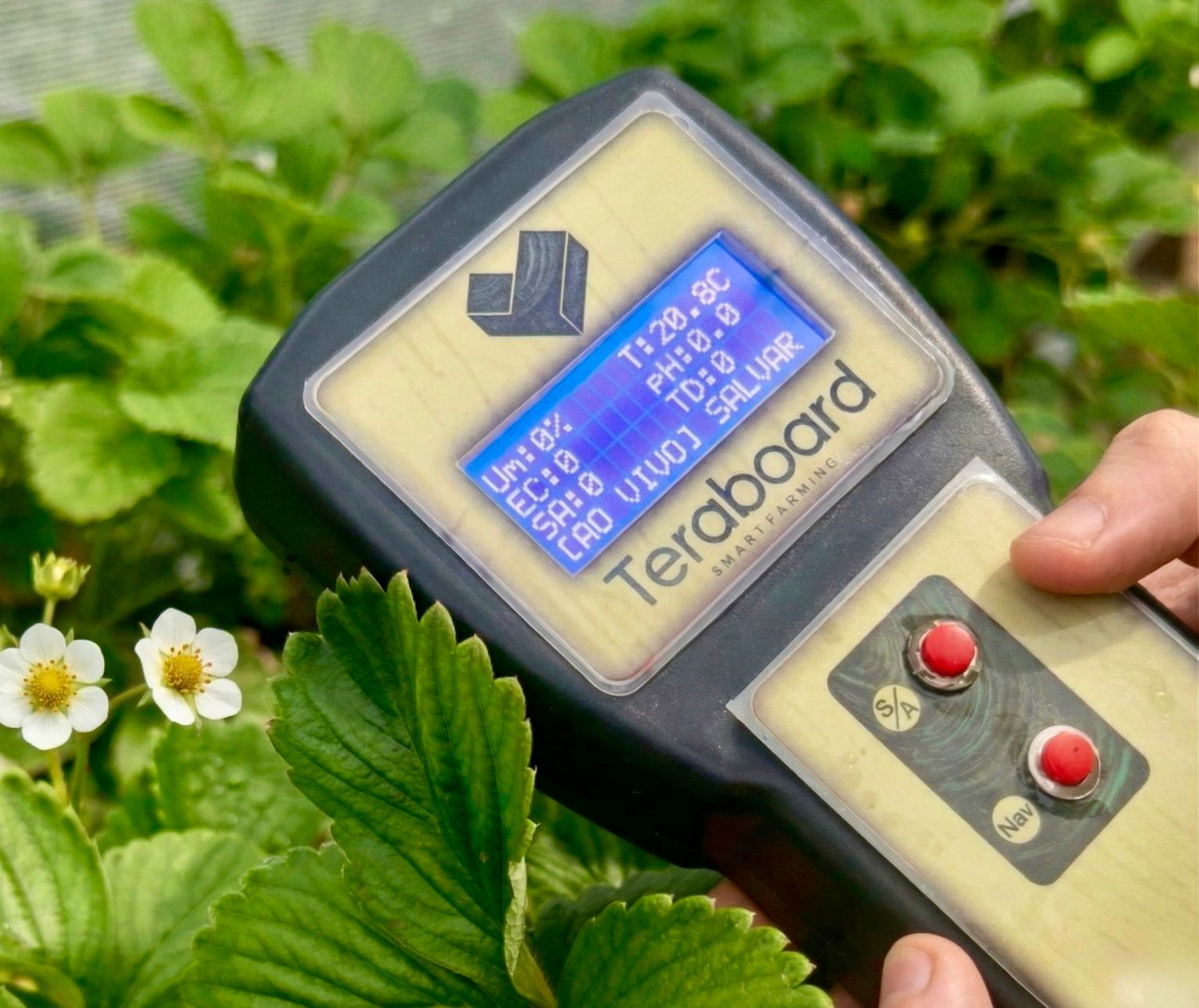 TeraSensor em operação