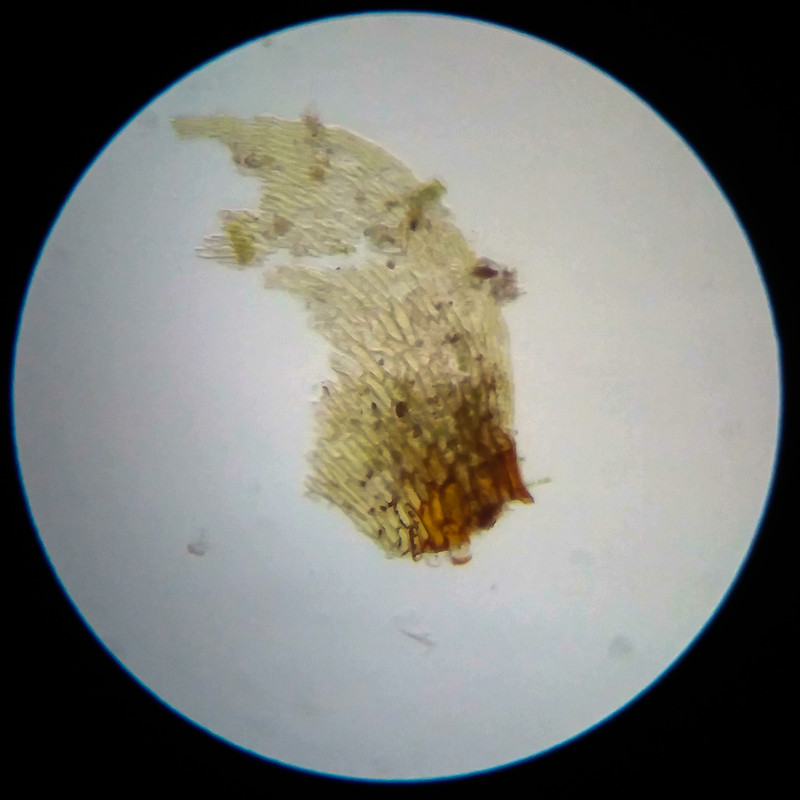 IMG 20250617 105006 HDR