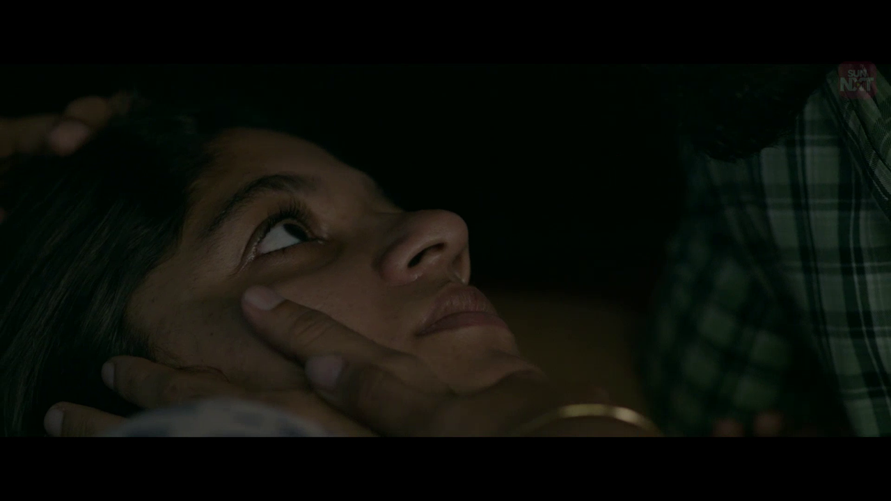 vlcsnap 2026 02 11 15h37m42s471