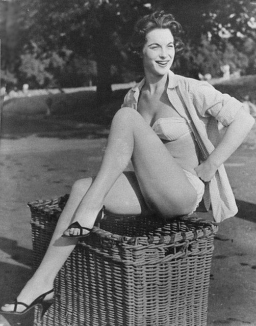 shirley_ann_field_a68