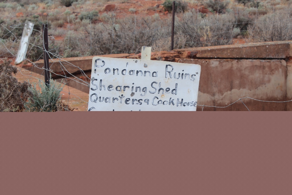 2021 Boys Googs Tk & Off-Track Desert Trip (236)