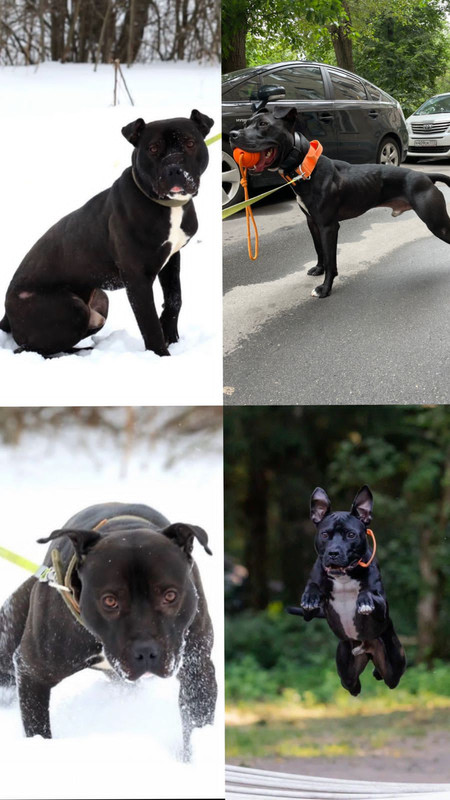 AA1DCC2F-AC48-416C-8D3F-927255111903