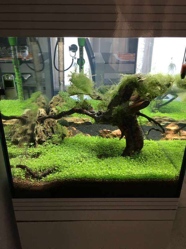 10AF42A5-3DDB-4BF6-8262-8D37342169EA