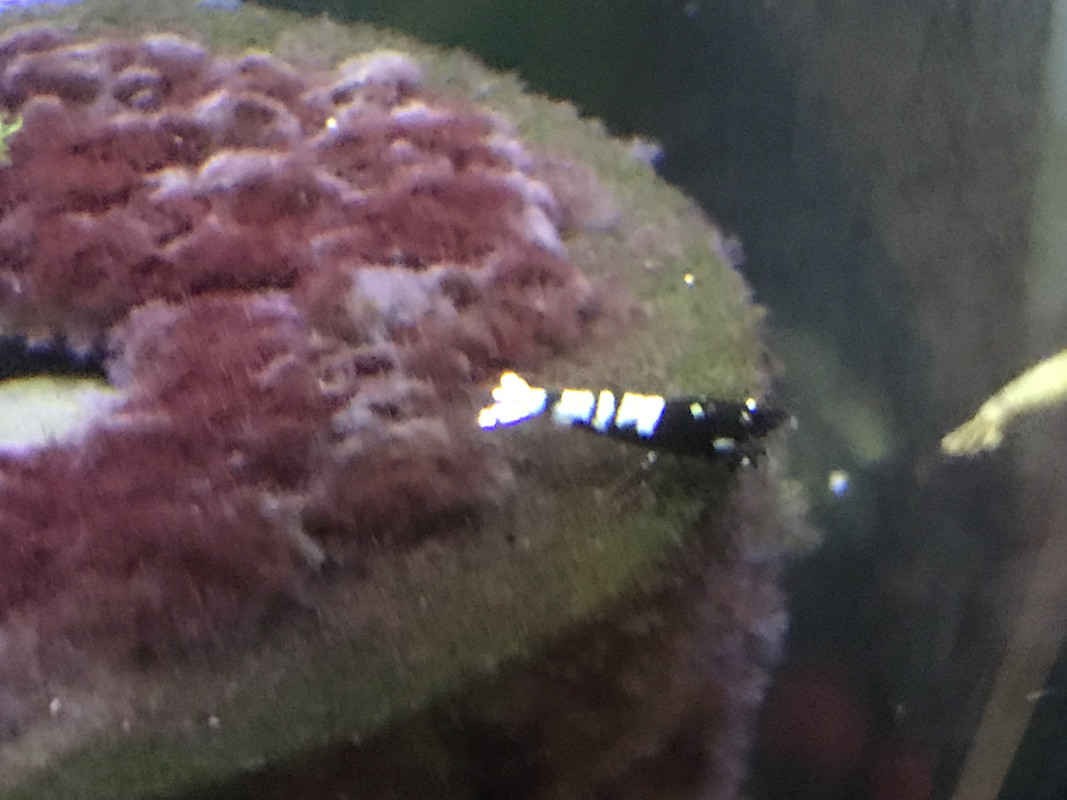 3EA442C2-75AB-4B13-831C-6132F986F2FD