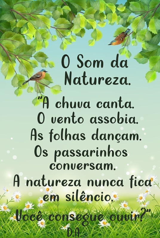 O Som da Natureza