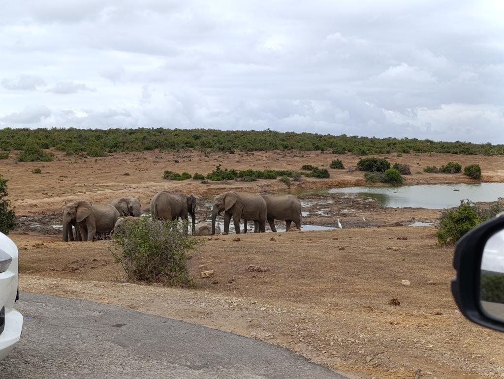 Такая близкая Африка. (ЮАР. 22 дня и 4200 км. Ноябрь-Декабрь)