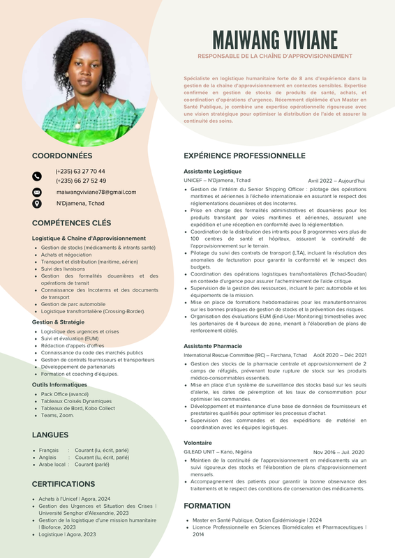 Modèle CV Canva 1