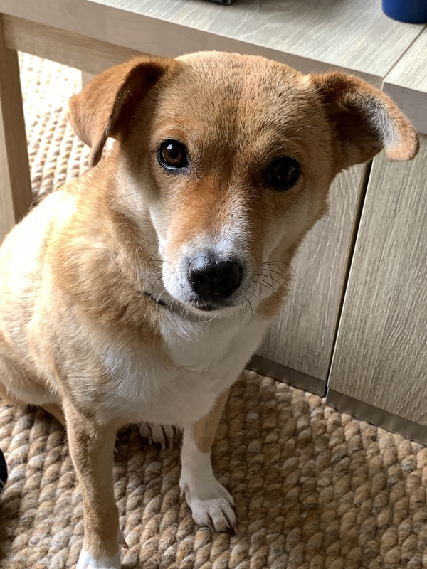 51D38139-1E1F-4C77-B76B-BF1180E3C9C3