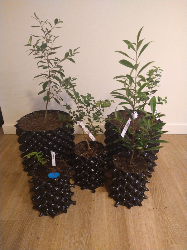 IMG_20241007_184200288