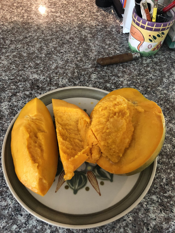 09A29A90-D178-4BF8-9680-8BD313FE7BFA