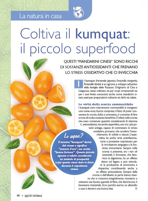 Sal Nat Dic 2025 (9)