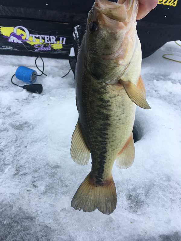 90F66CB7-4304-47D8-AA35-B4BDC0B433E5