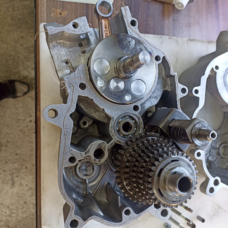 WhatsApp Image 2024-09-02 at 09.10.13(3)