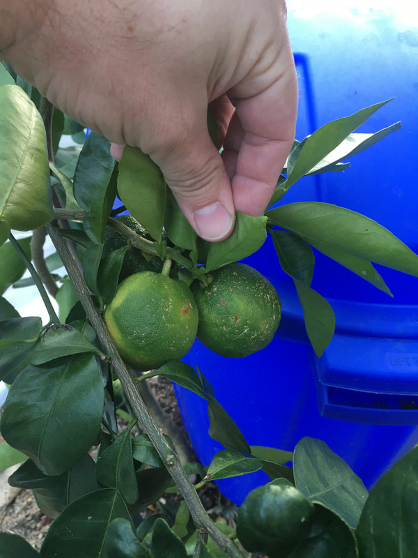 B159B8CC-EBEE-47D7-BB2B-3E22A60F5B64