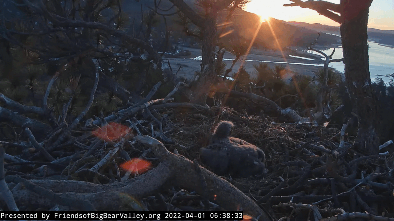 Webp.net-gifmaker (2)