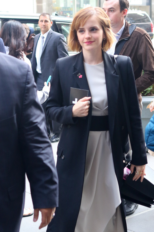 watsonuncensored.blogspot.com (3)