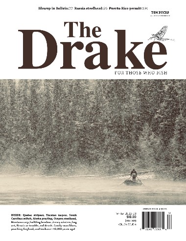 The Drake - Winter / 2023