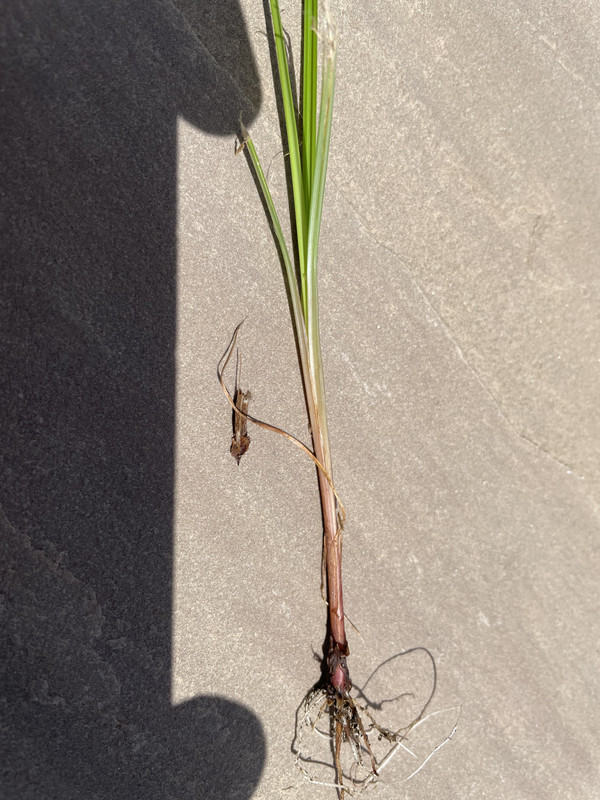 22E92D9F-B4EF-4405-8B7A-F8D02D2A460A