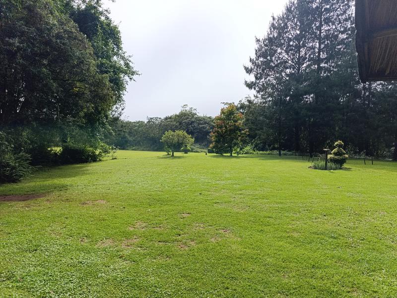 Такая близкая Африка. (ЮАР. 22 дня и 4200 км. Ноябрь-Декабрь) Такая близкая Африка. (ЮАР. 22 дня и 4200 км. Ноябрь-Декабрь)