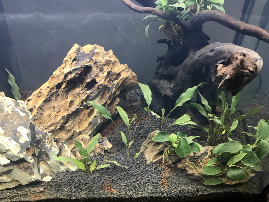 70C0BB9A-14B2-43CF-88DD-EABA128FA442