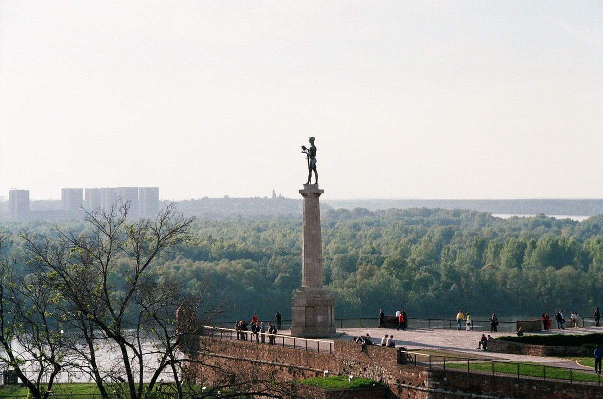 79850011.jpg