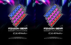 3racing-Pinion-Gear-Caddies-1-small.jpg