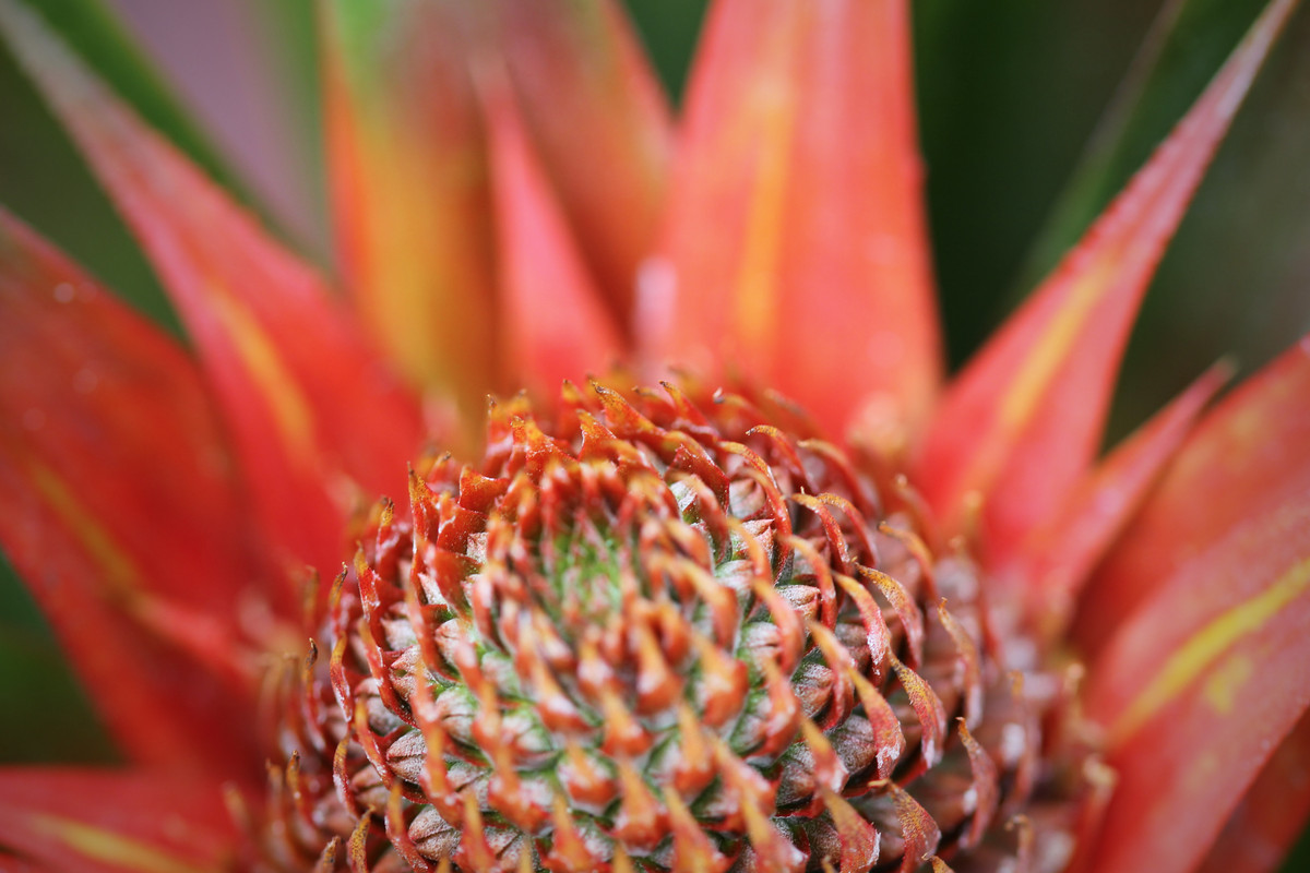 26E13CE5-1B21-40F0-AEEC-E2C58A78122E_1_201_a