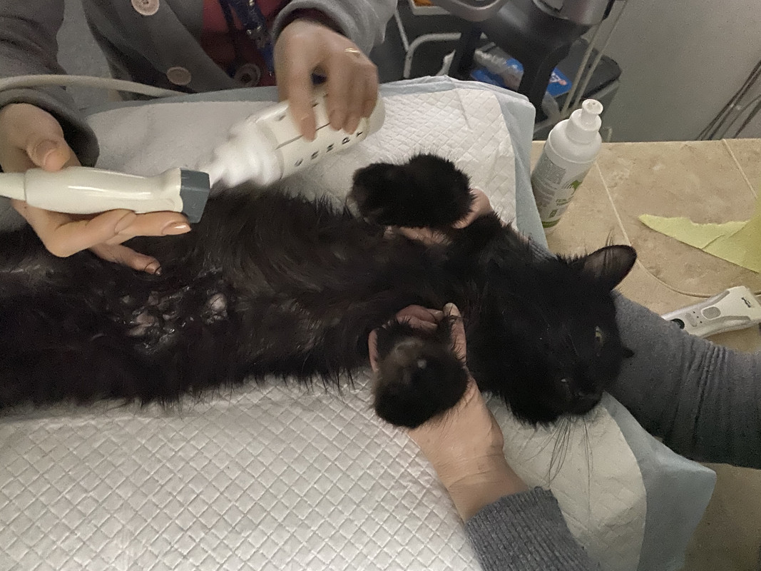 D838B4F2-12B0-44CA-A63C-0609AA609DD3