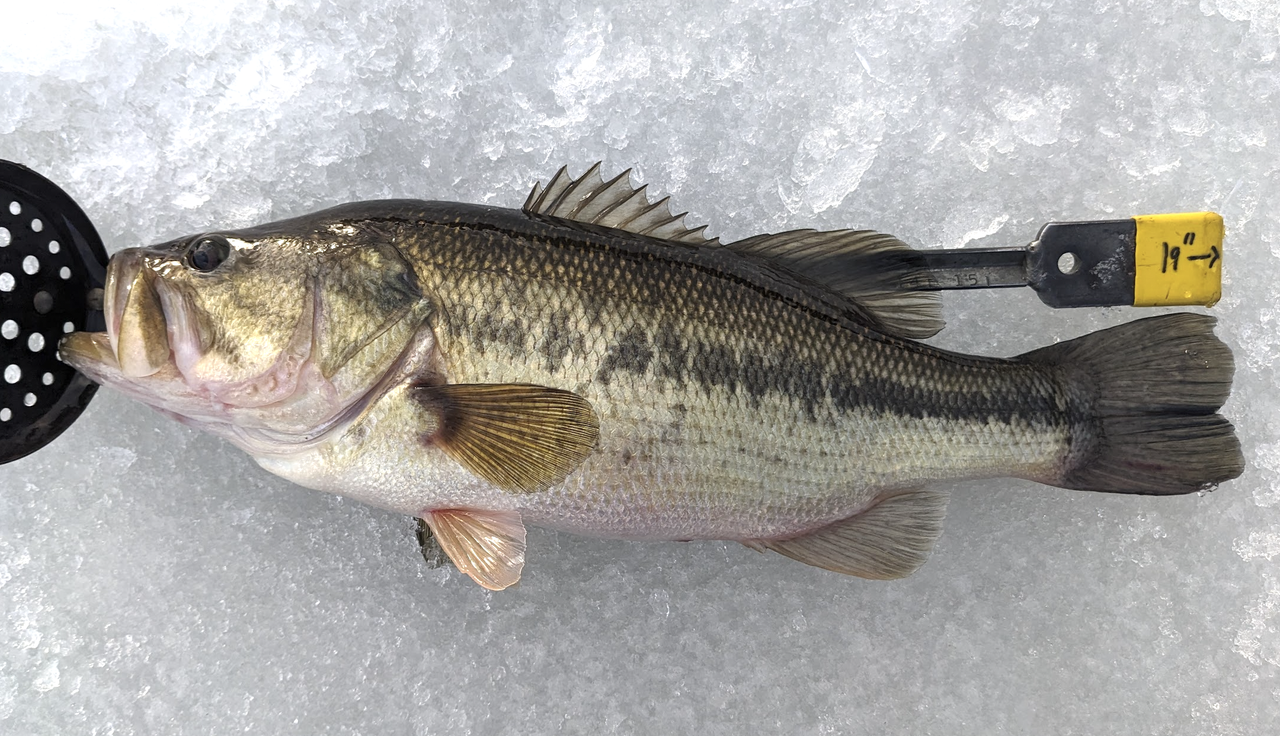 Screenshot 2026 02 16 at 8 26 52 PM