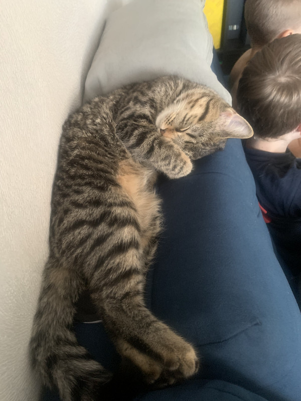 A55C3963-A9E1-4E2C-9A56-AE8B1CCDCEBD