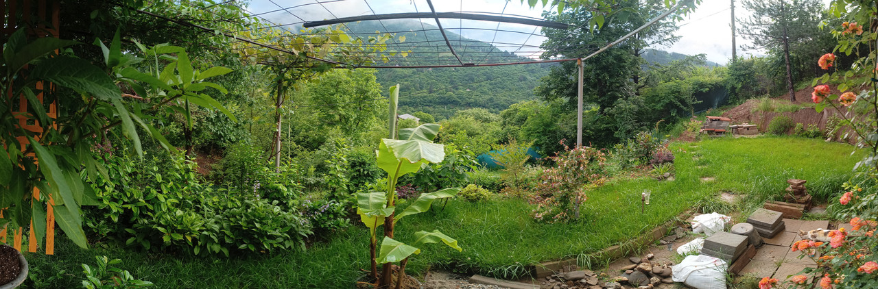 IMG_20230613_200202354