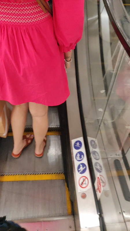 IMG 20260217 11113461