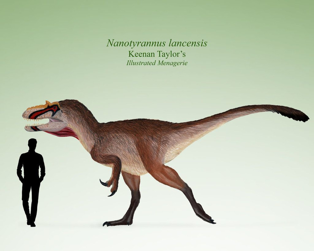 53beffff0b91ff9ecd03b38d6cfc0124