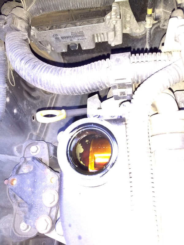 IMG_20190510_190617144