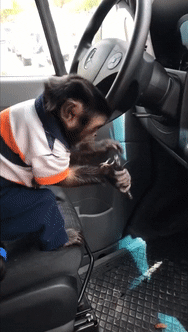 daily-gifdump-27.gif