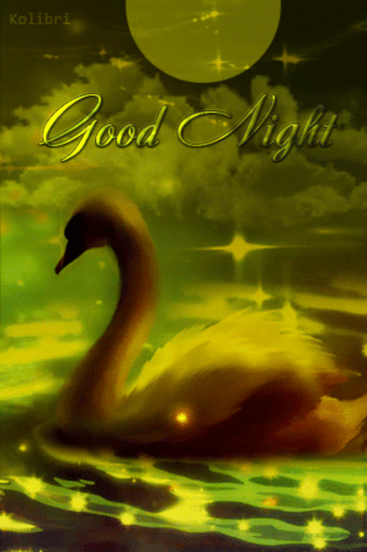 6f30a30bb50824da78689be4beb30ad5