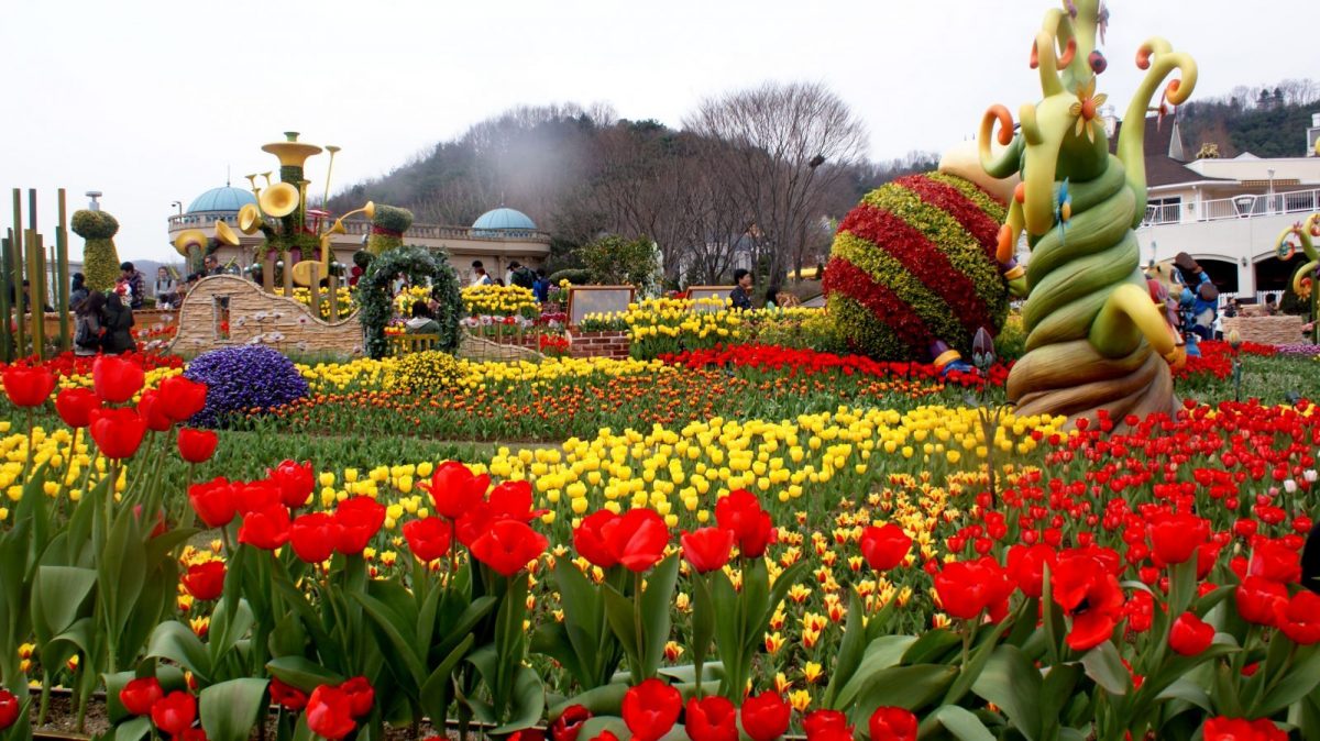 Everland Tulip Festival