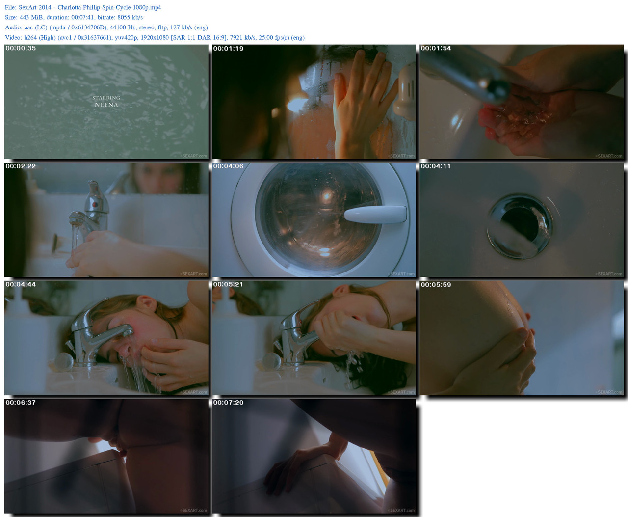 Sex Art 2014 Charlotta Phillip Spin Cycle 1080p s