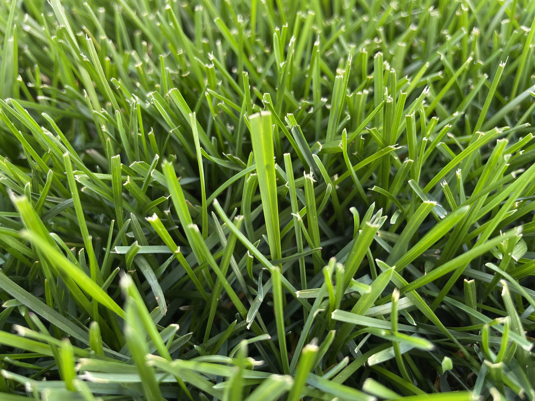 E8A406D6-7CCD-4A6C-9829-50AF3927F096