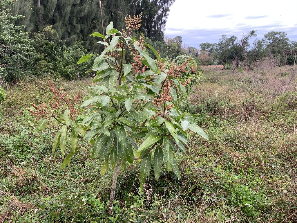 6EBB7B2C-6D6A-4D96-BB80-858E7DF58FA5