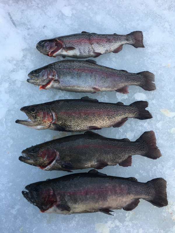 FFB12581-A8A2-4A11-932D-E5B55A9E959D