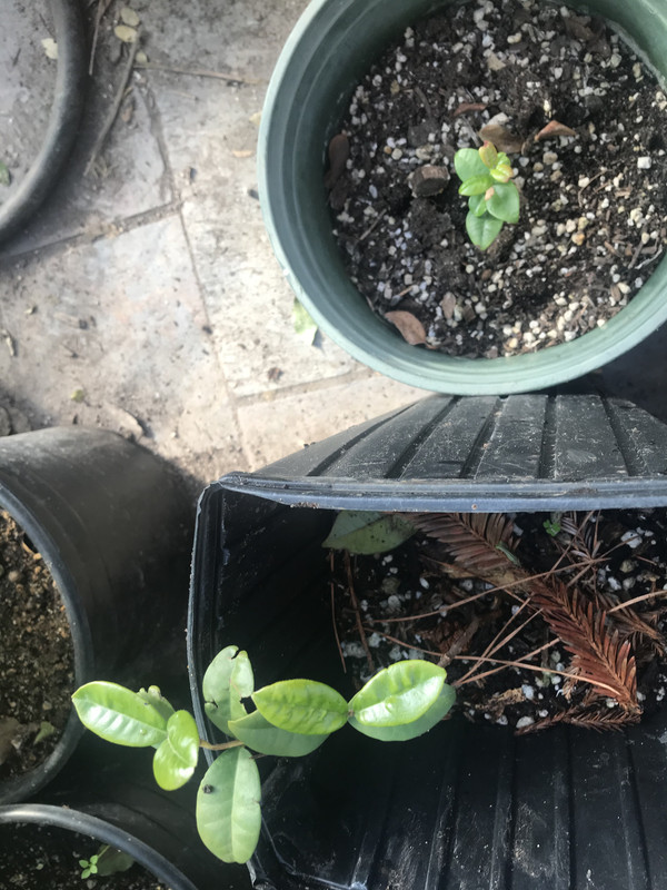 FFACC7AB-0D42-40B5-A55C-0EB82E328CA7