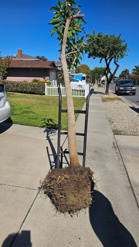 FB IMG 1756934933909