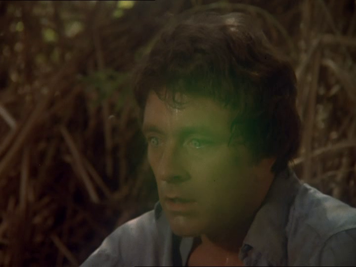 vlcsnap-2024-08-17-11h35m18s645